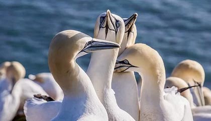 BOB半岛体育APP：让运动成为日常的全新入口