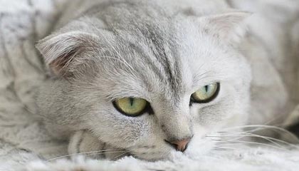 华体会官方网站——畅享极致体育娱乐体验