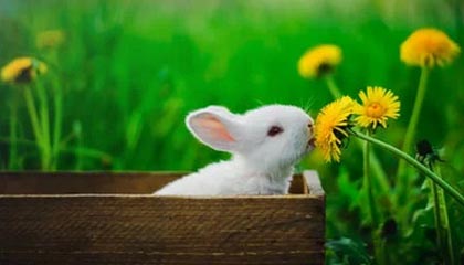 华体会官方网站——畅享极致体育娱乐体验